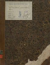 Каратыгин В. А., Загоскин М. Н. Добрый малый (1828)