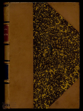 Мицкевич А. Сочинения Т. 2