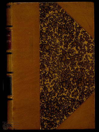 Мицкевич А. Сочинения  Т. 4. Пан Тадеуш. Ч. 1