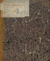 Дюпети Ш. Д. Гусар Фельзгейма (1828)