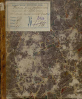 Тепфер К. Карл XII на возвратном пути в Швецию (1832)