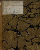 Минеральные воды, или Муж четырех жен (1830)