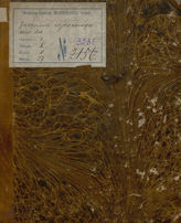 Каратыгин П. А. Знакомые незнакомцы (1829)
