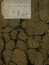 Шлегель А. В. Ромео и Юлия (1829)