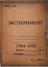 Эксперимент. 1984-1985